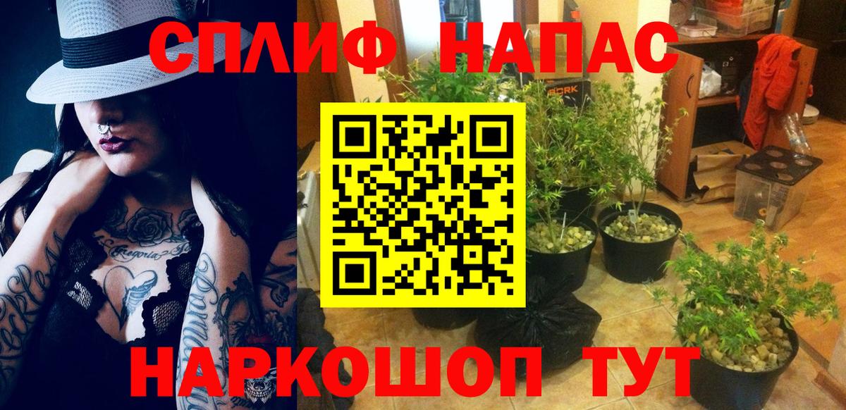 МАРИХУАНА SATIVA & INDICA Туапсе